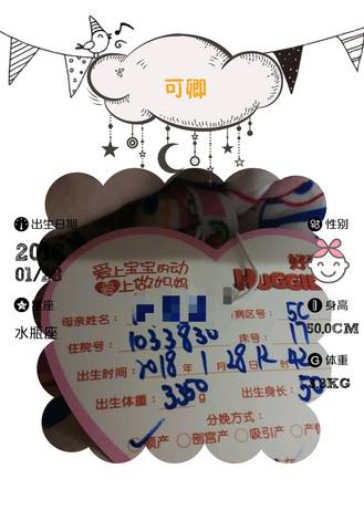 journal_insert_pic_934560232