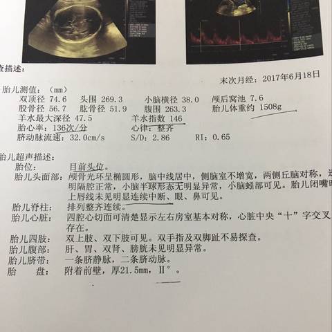 journal_insert_pic_934368170
