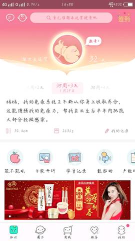 journal_insert_pic_935020777