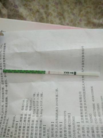 journal_insert_pic_935044218