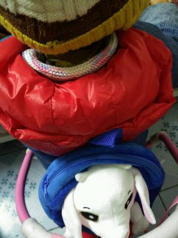 journal_insert_pic_935760027