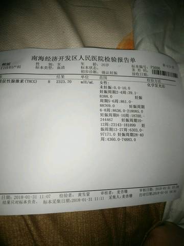 journal_insert_pic_936334463