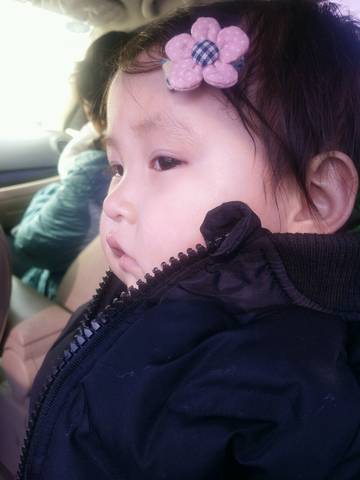 journal_insert_pic_936105264