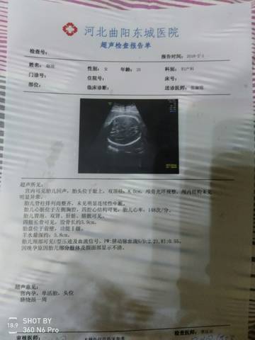 journal_insert_pic_937485424