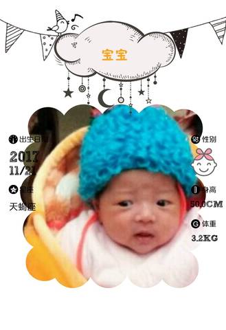 journal_insert_pic_937495594