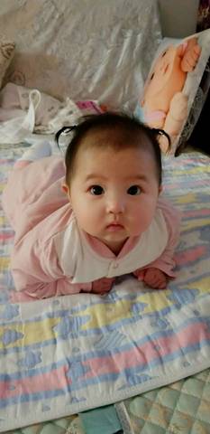 journal_insert_pic_937901759