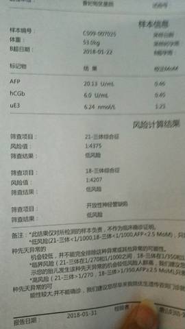 journal_insert_pic_937788510