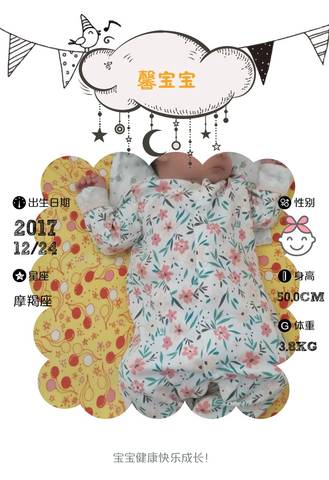 journal_insert_pic_938510751