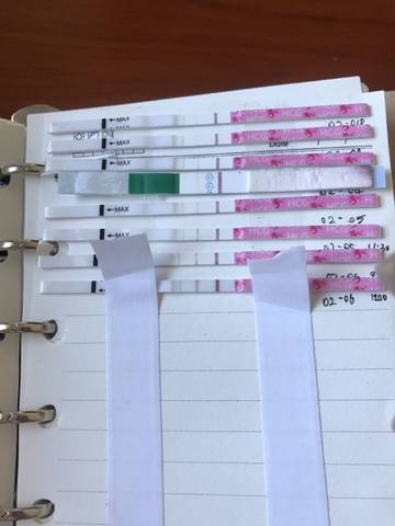journal_insert_pic_939653166