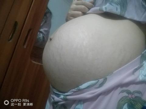 journal_insert_pic_939483319