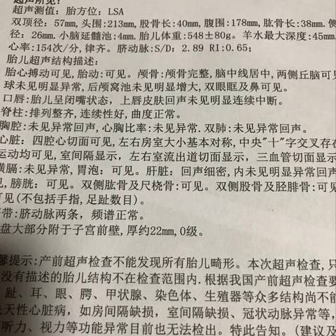 journal_insert_pic_940411835