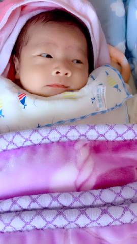 journal_insert_pic_940348287