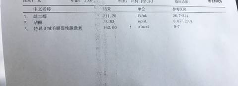 journal_insert_pic_940258121