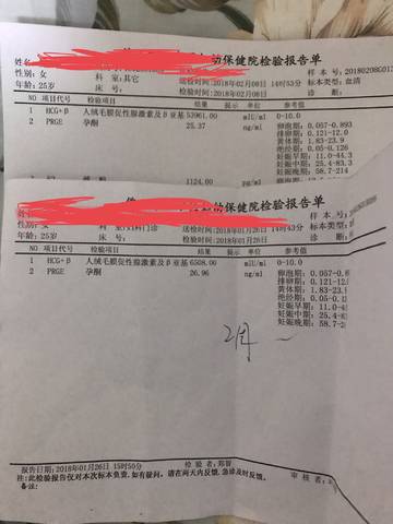journal_insert_pic_941161541