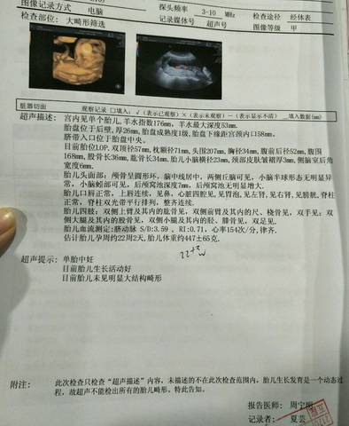 journal_insert_pic_941426901