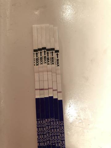 journal_insert_pic_941324454