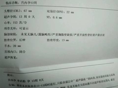 journal_insert_pic_942024926