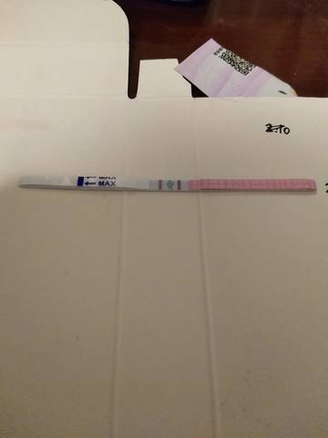 journal_insert_pic_942465487