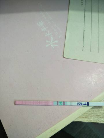 journal_insert_pic_943531397