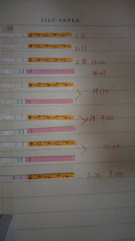 journal_insert_pic_948713347