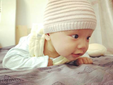 journal_insert_pic_948712883