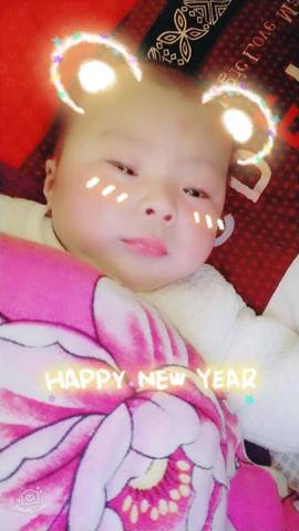 journal_insert_pic_950139730