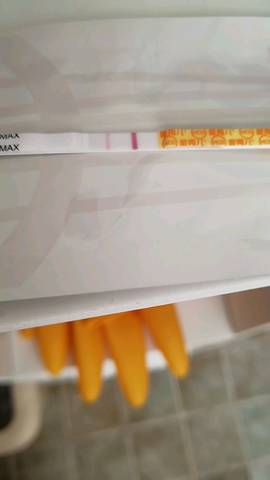 journal_insert_pic_949474985