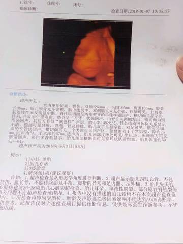 journal_insert_pic_950443011