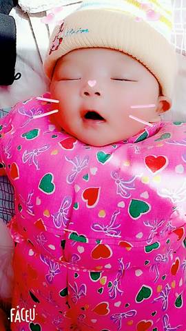 journal_insert_pic_950815157