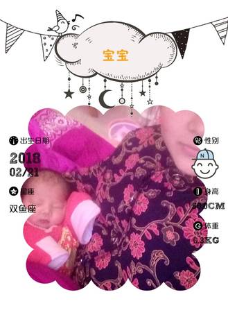 journal_insert_pic_951616990