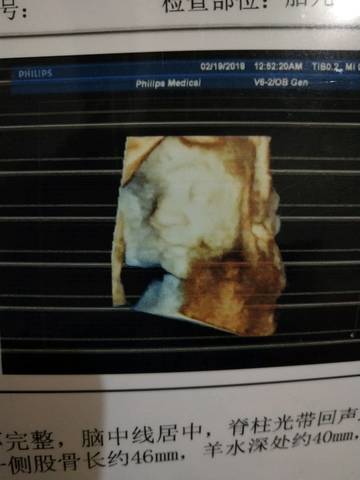 journal_insert_pic_951757424