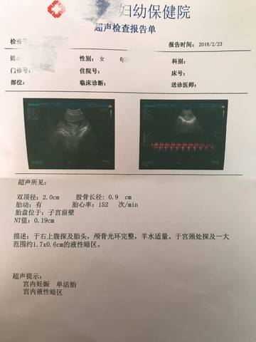 journal_insert_pic_951356196