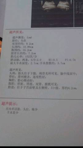 journal_insert_pic_951350214
