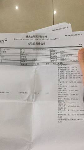journal_insert_pic_952177141