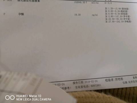 journal_insert_pic_952229405