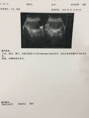 journal_insert_pic_952177099
