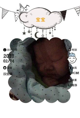journal_insert_pic_953163942