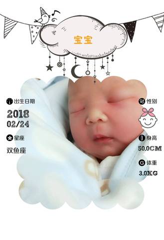 journal_insert_pic_953156304