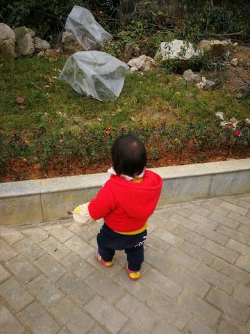 journal_insert_pic_954267554