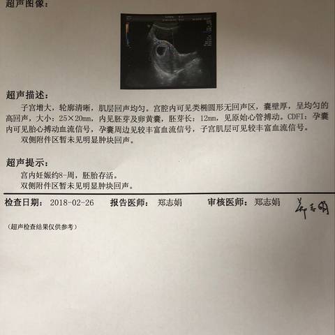 journal_insert_pic_954212566