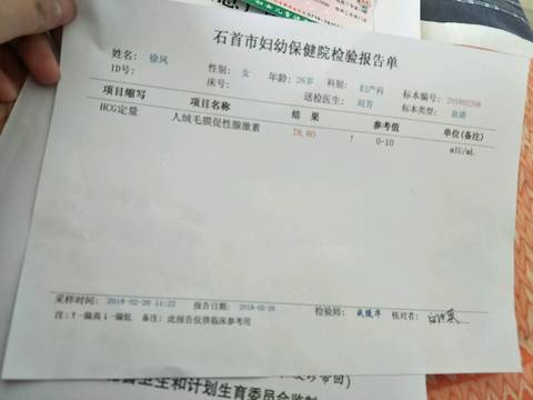 journal_insert_pic_954162594