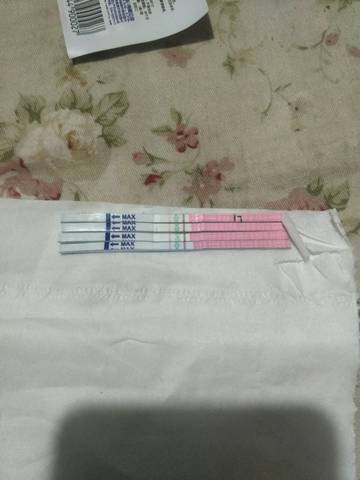 journal_insert_pic_955158469