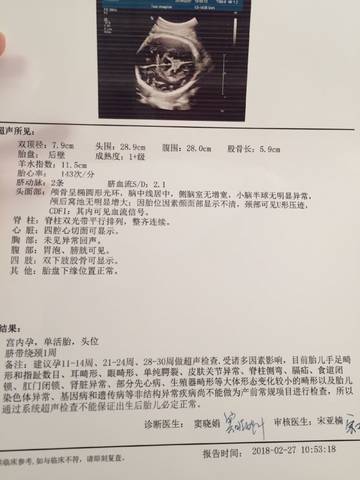 journal_insert_pic_954847573