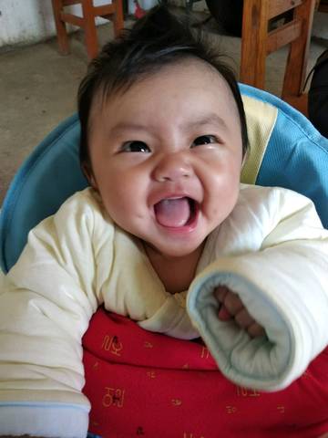 journal_insert_pic_955282462