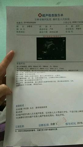 journal_insert_pic_954711347