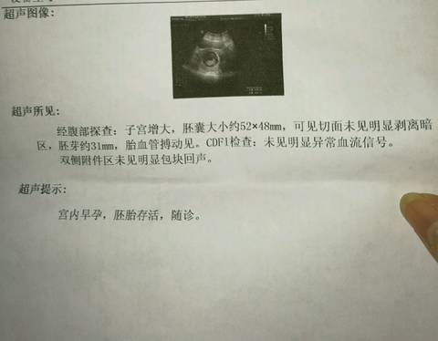 journal_insert_pic_955354524