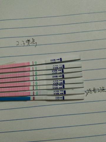 journal_insert_pic_956218232