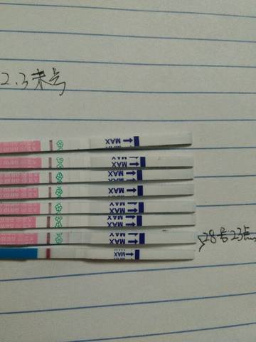 journal_insert_pic_956220485