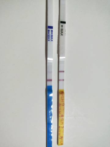 journal_insert_pic_956794501