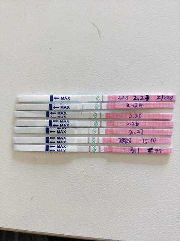 journal_insert_pic_956397338
